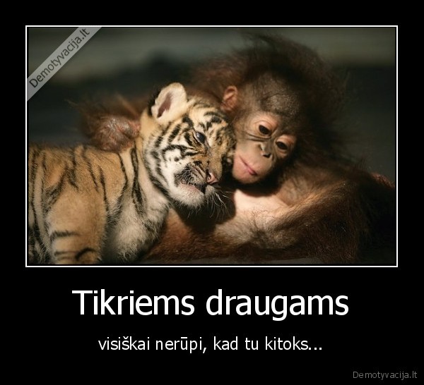 draugai, draugeliai, draugyciai