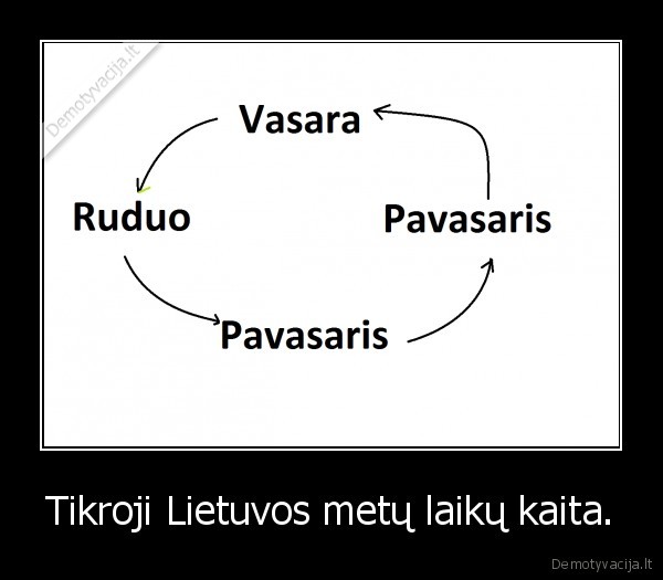kur, sniegas