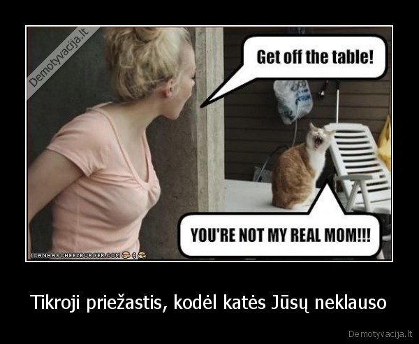 kate,kates,augintiniai,gyvunai