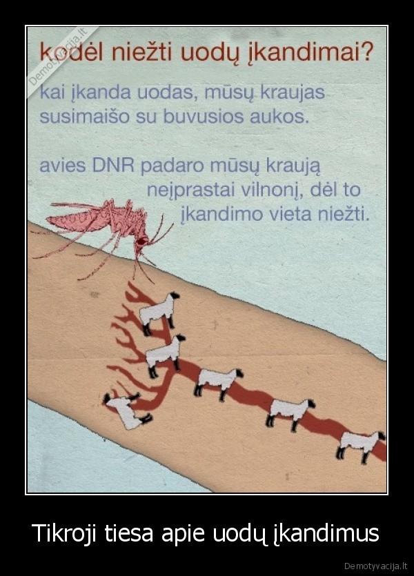 uodas,ikandimas,tiesa