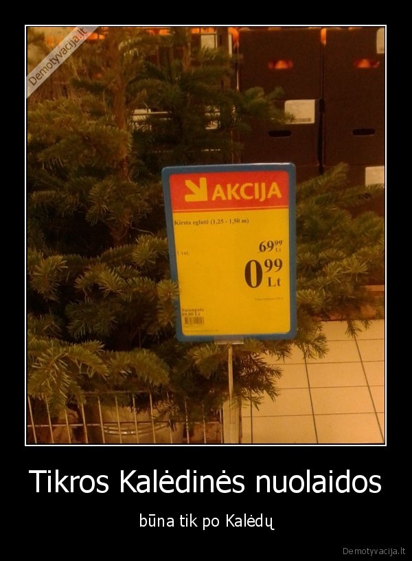 Tikros Kalėdinės nuolaidos