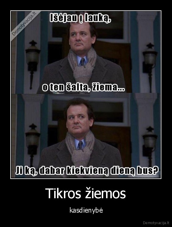 ziema,salta,laukas