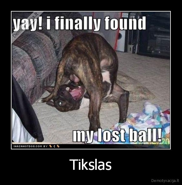 tikslas,suo