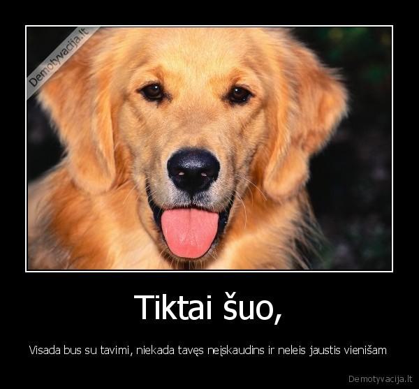Tiktai šuo,