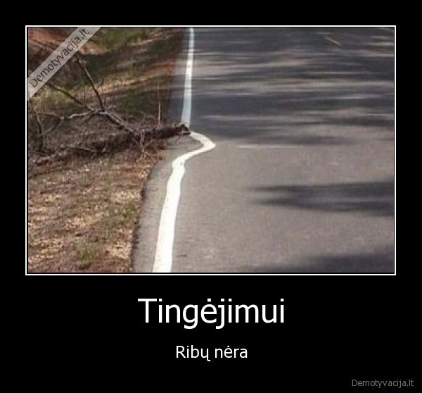 tingejimas