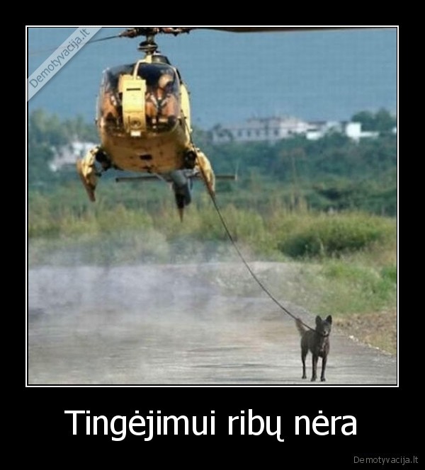 Tingėjimui ribų nėra