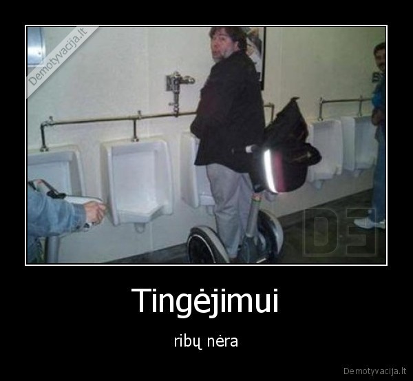 Tingejimui