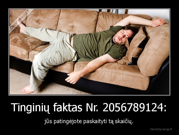 tinginys,faktas,skaicius