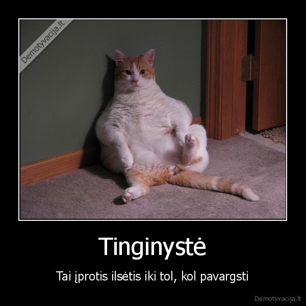 tinginyste