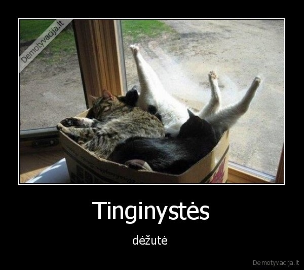 dezute,tinginyste