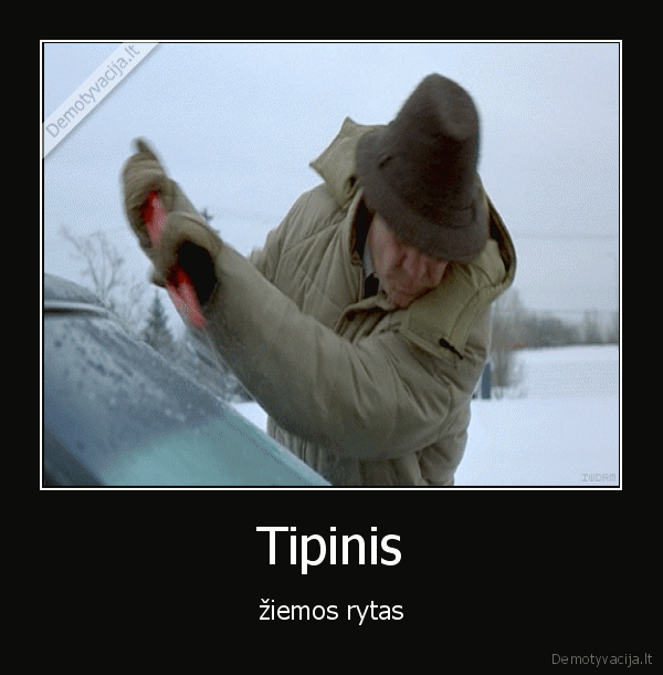 ziem,rytas