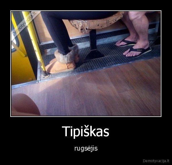 rugsejis