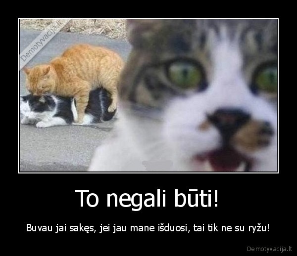To negali būti!