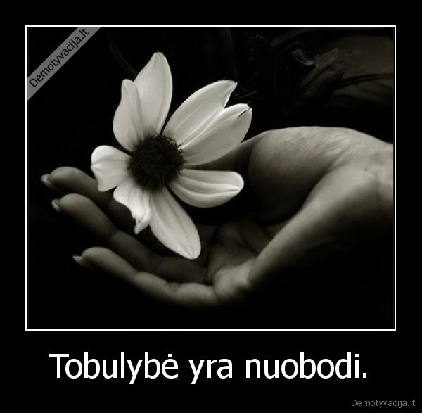 Tobulybė yra nuobodi.