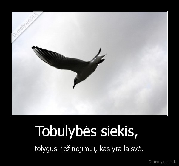 laisve,tobulybe