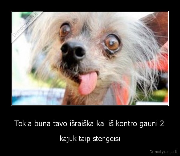 mokslas,kontrolinis