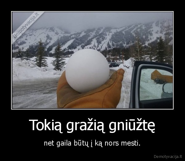 gniuzte,sniegas
