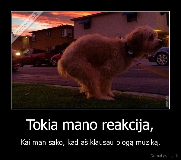 muzika,nuomone