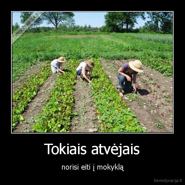 ravejimas,karsta,diena,vasara,atima,laiko,geriau,mokykla