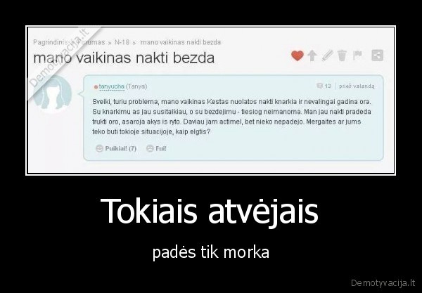 morka,kamstis