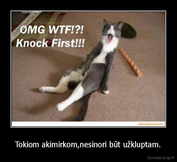 skaudi, tiesa