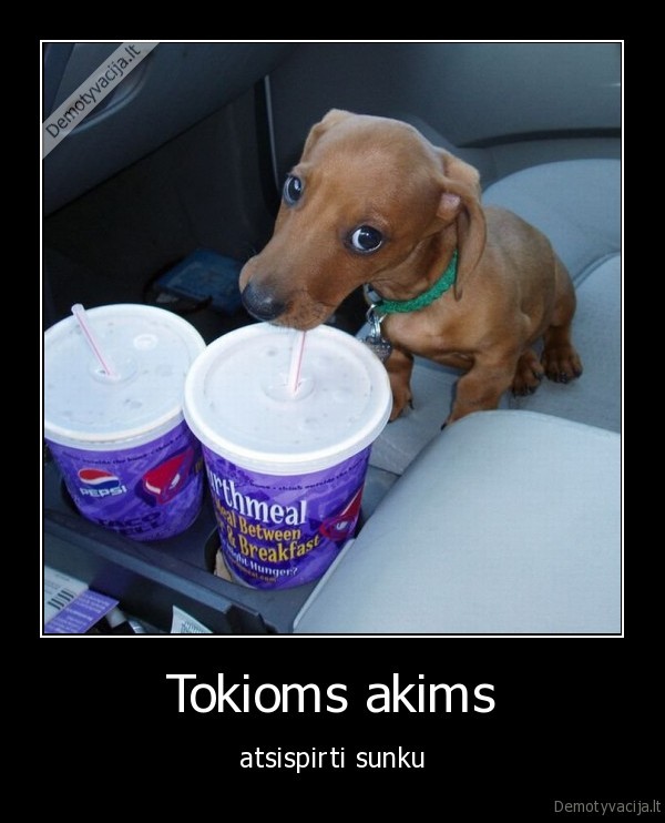 Tokioms akims