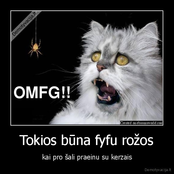kerzai,fifos
