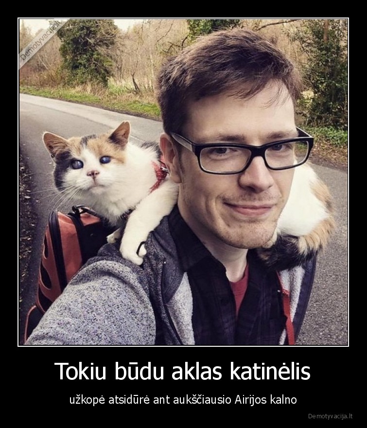 airija,kalnas,katinas,aklas,draugyste