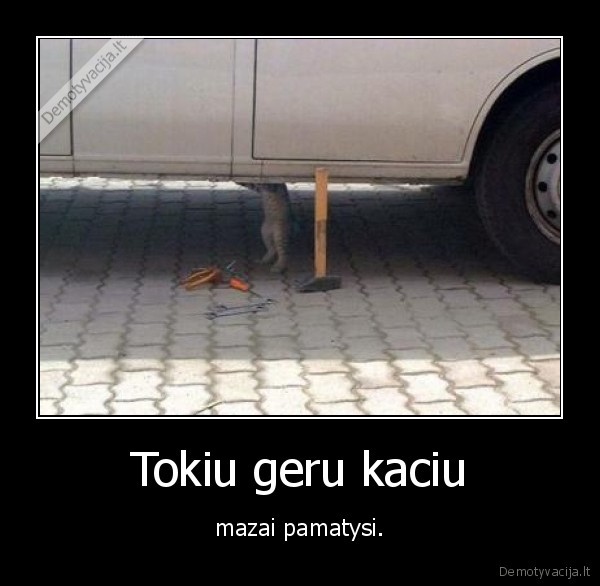 Tokiu geru kaciu