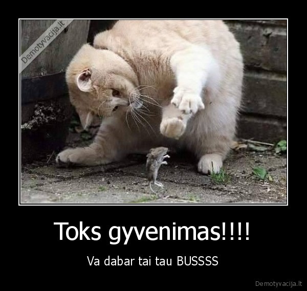 Toks gyvenimas!!!!