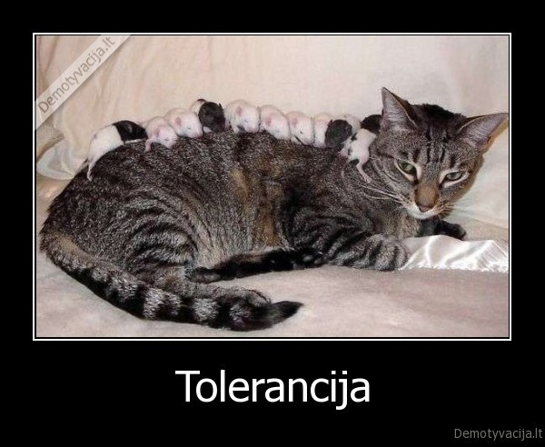 Tolerancija