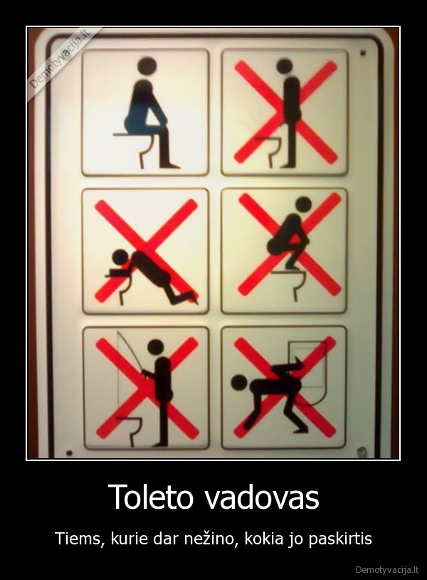 Toleto vadovas