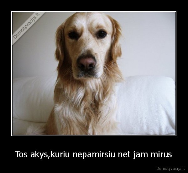 Tos akys,kuriu nepamirsiu net jam mirus