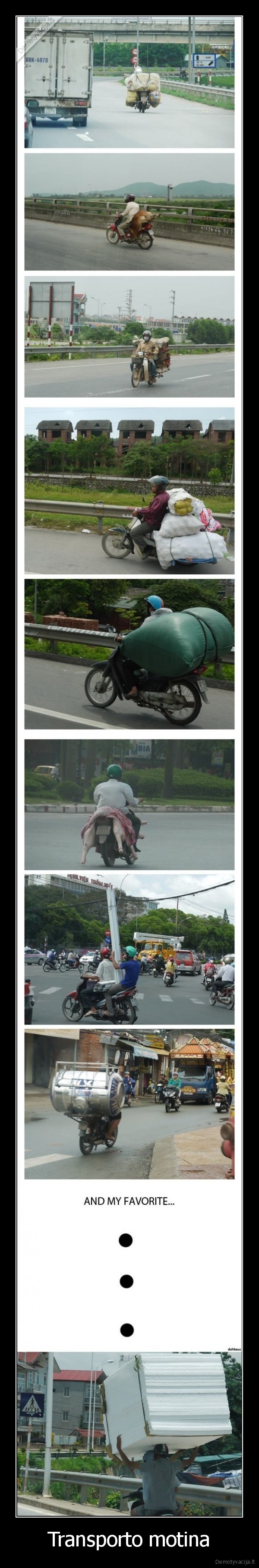Transporto motina