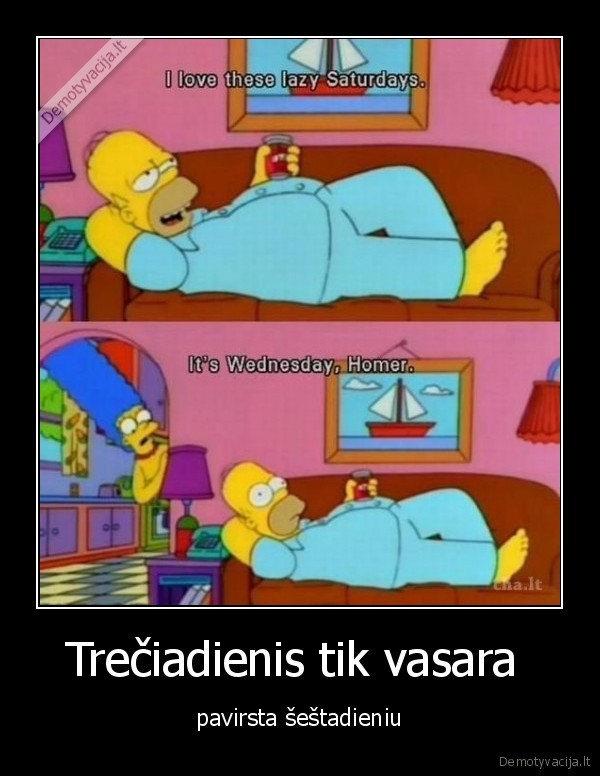 atostogos, kada, darai, ka, nori, ir, kada, nori