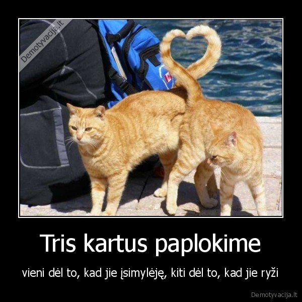 Tris kartus paplokime
