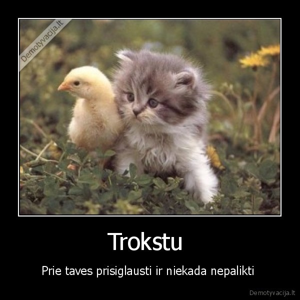 Trokstu 
