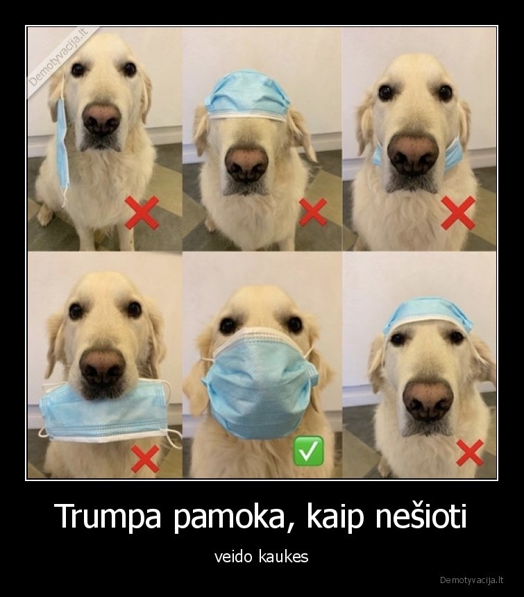 kauke,suo,pamoka
