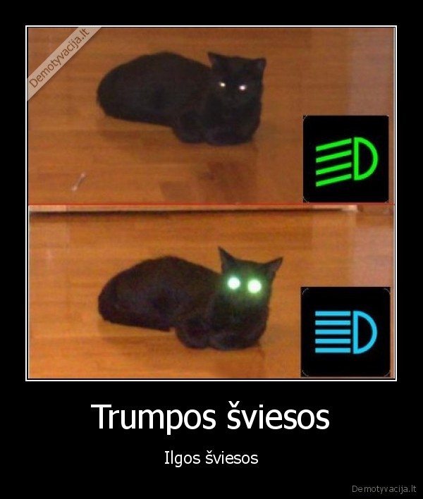 trumpos,citatos24.lt,ilgos