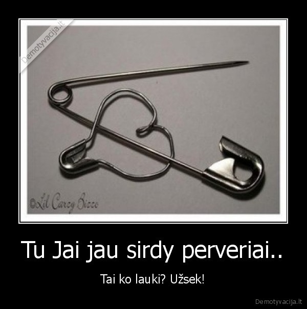 Tu Jai jau sirdy perveriai..