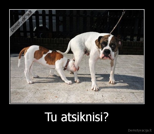 Tu atsiknisi?