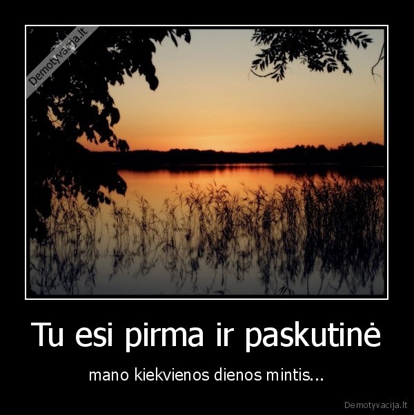 myliu.tyliu.mirstu