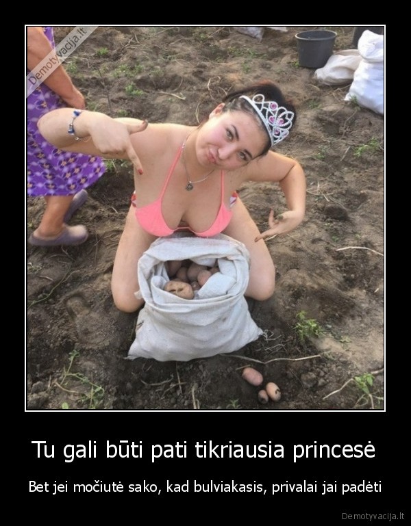 bulviakasis,princese