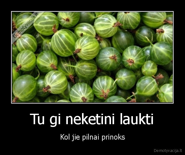 Tu gi neketini laukti