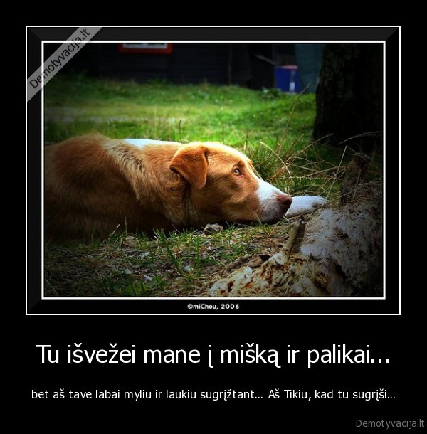 suo,miskas,liudesys,meile