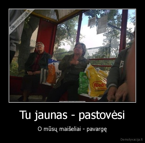 bjaurios, bobutes,maiseliai,stotele
