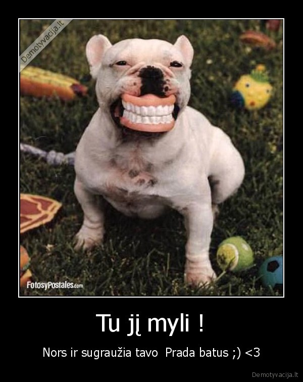 myli, grauzianti, suni