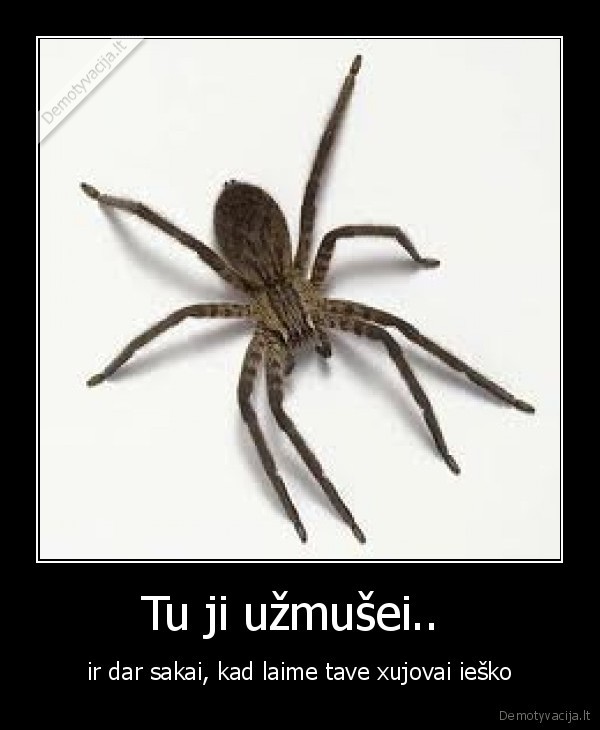 Tu ji užmušei.. 