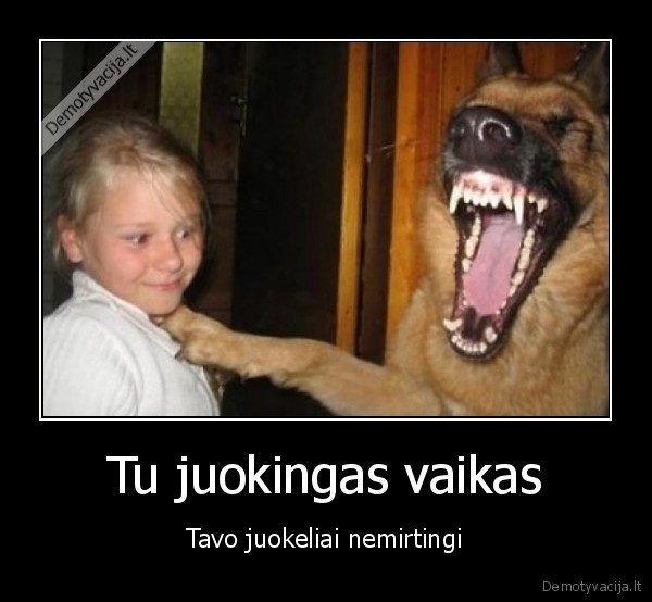 gyvunai