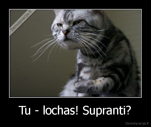 Tu - lochas! Supranti?